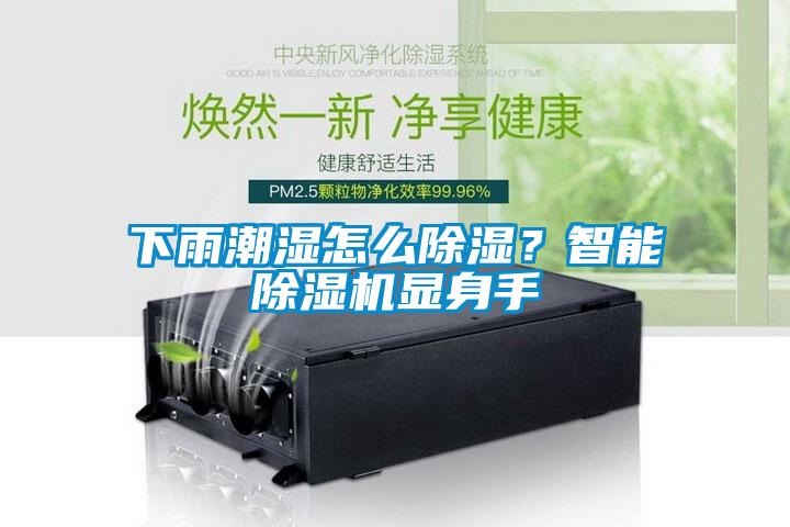 下雨潮濕怎么除濕？智能除濕機(jī)顯身手