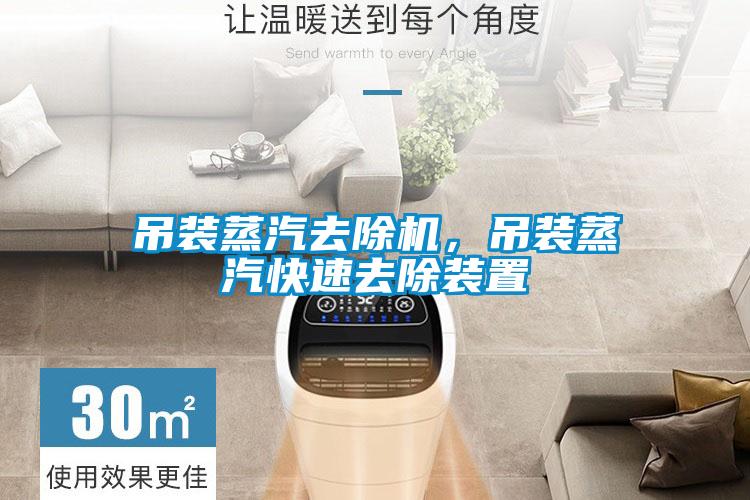 吊裝蒸汽去除機(jī)，吊裝蒸汽快速去除裝置