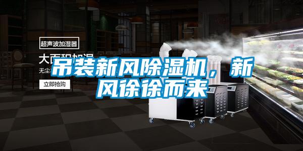 吊裝新風(fēng)除濕機(jī)，新風(fēng)徐徐而來