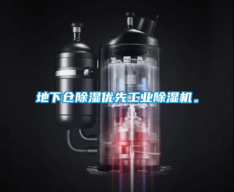 地下倉除濕優(yōu)先工業(yè)除濕機(jī)。