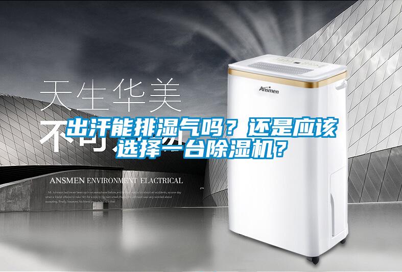 出汗能排濕氣嗎？還是應(yīng)該選擇一臺(tái)除濕機(jī)？