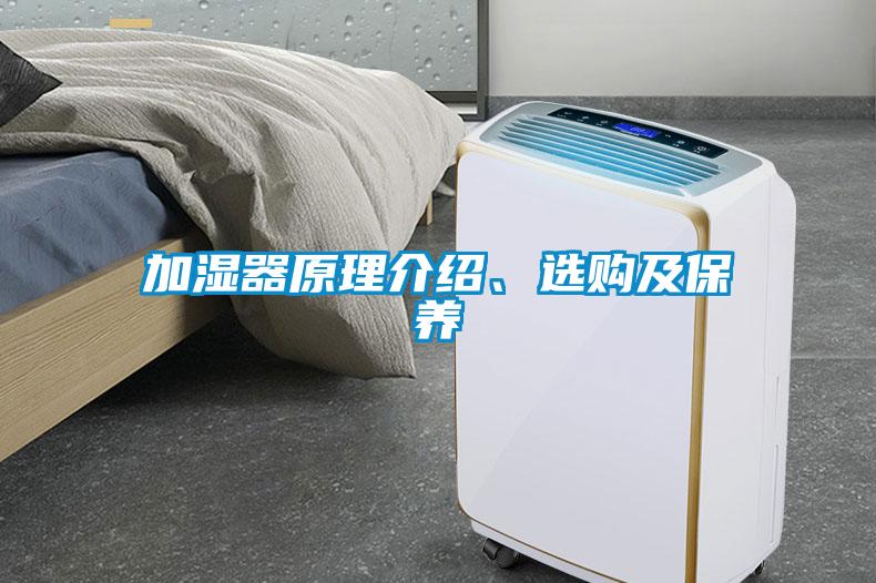 加濕器原理介紹、選購及保養(yǎng)