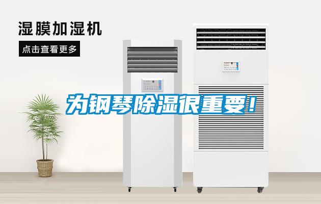 為鋼琴除濕很重要！