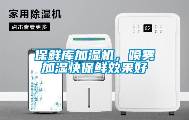 保鮮庫(kù)加濕機(jī)，噴霧加濕快保鮮效果好