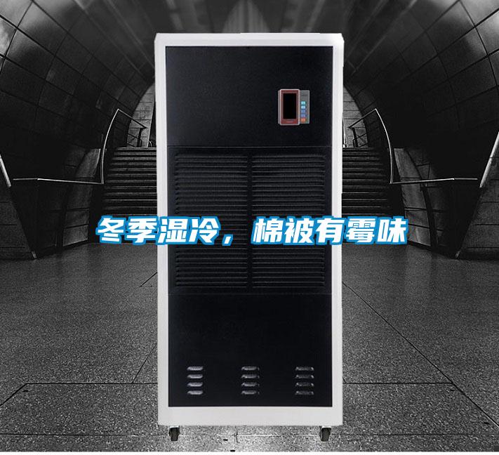 冬季濕冷，棉被有霉味