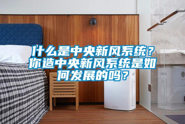 什么是中央新風系統(tǒng)？你造中央新風系統(tǒng)是如何發(fā)展的嗎？