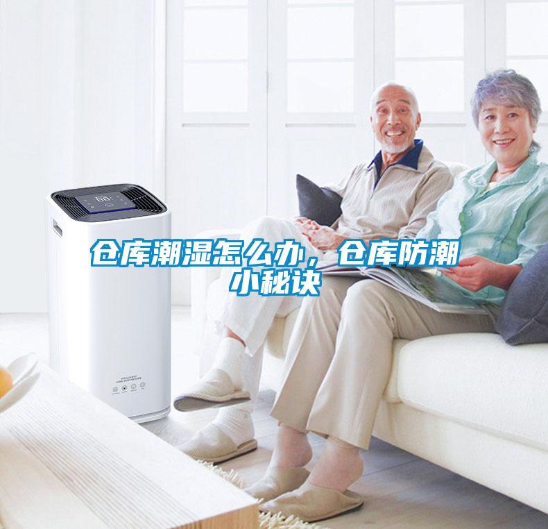 倉庫潮濕怎么辦，倉庫防潮小秘訣