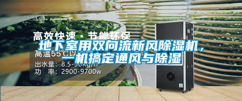 地下室用雙向流新風(fēng)除濕機(jī)，一機(jī)搞定通風(fēng)與除濕