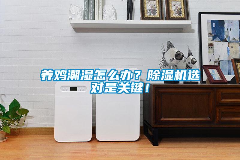 養(yǎng)雞潮濕怎么辦？除濕機(jī)選對(duì)是關(guān)鍵！