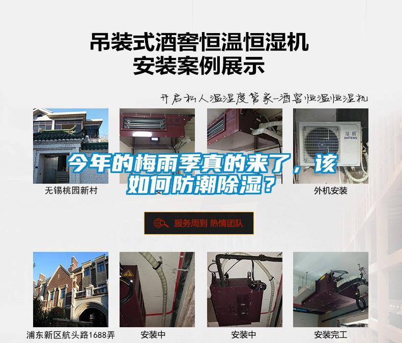 今年的梅雨季真的來了，該如何防潮除濕？