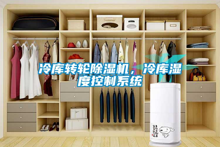 冷庫(kù)轉(zhuǎn)輪除濕機(jī)，冷庫(kù)濕度控制系統(tǒng)