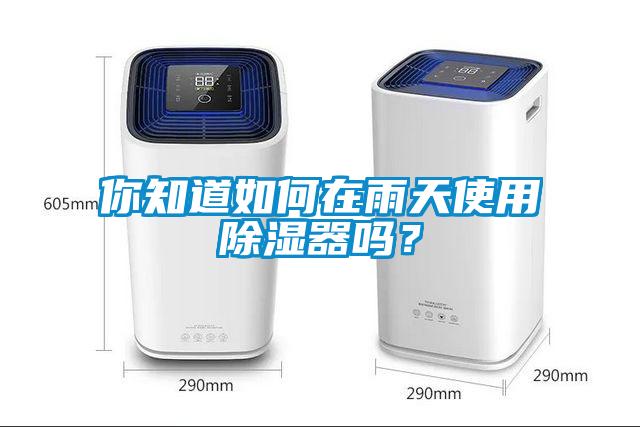 你知道如何在雨天使用除濕器嗎？