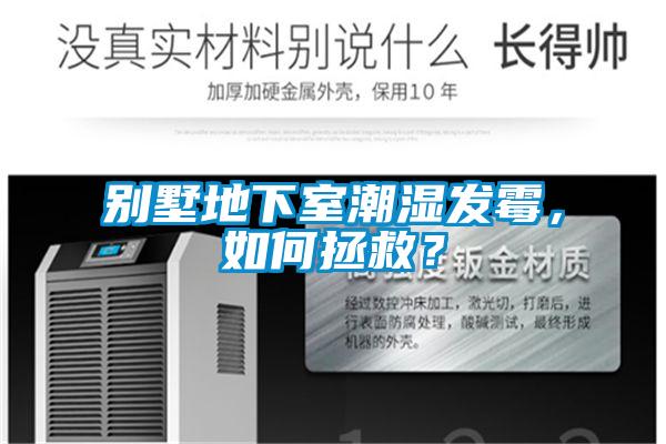 別墅地下室潮濕發(fā)霉，如何拯救？