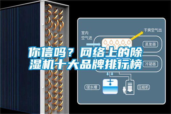 你信嗎？網(wǎng)絡(luò)上的除濕機(jī)十大品牌排行榜