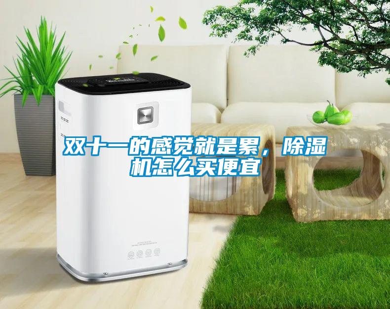 雙十一的感覺就是累，除濕機(jī)怎么買便宜