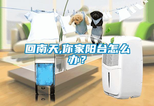 回南天,你家陽(yáng)臺(tái)怎么辦？
