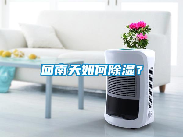 回南天如何除濕？