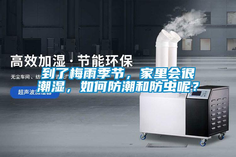 到了梅雨季節(jié)，家里會很潮濕，如何防潮和防蟲呢？
