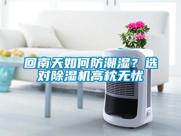 回南天如何防潮濕？選對除濕機(jī)高枕無憂