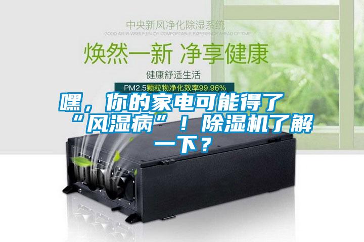 嘿，你的家電可能得了“風濕病”！除濕機了解一下？