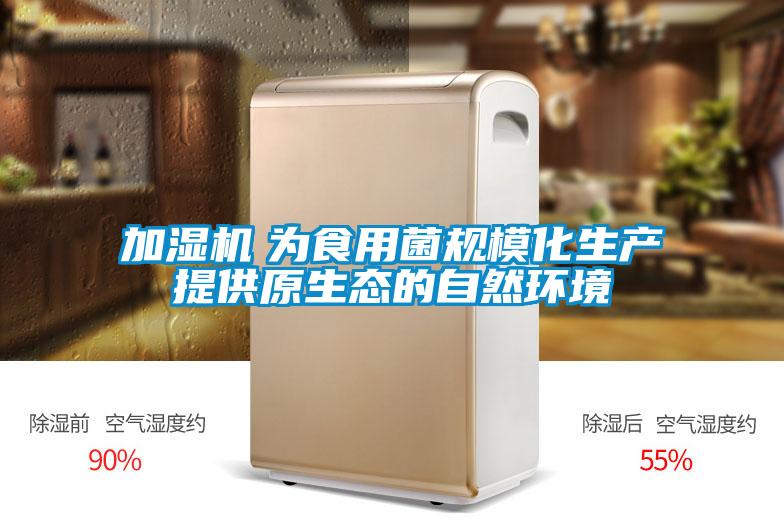 加濕機(jī)　為食用菌規(guī)?；a(chǎn)提供原生態(tài)的自然環(huán)境