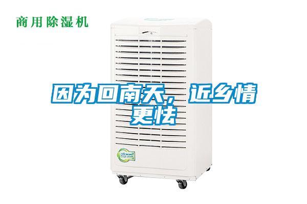 因為回南天，近鄉(xiāng)情更怯