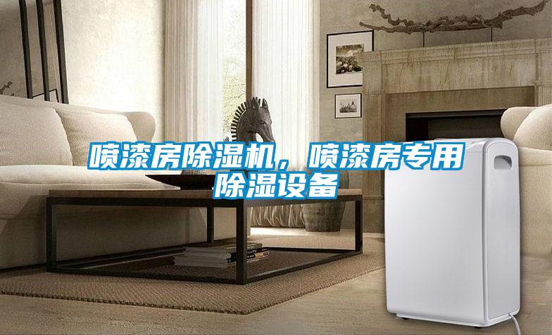 噴漆房除濕機(jī)，噴漆房專用除濕設(shè)備