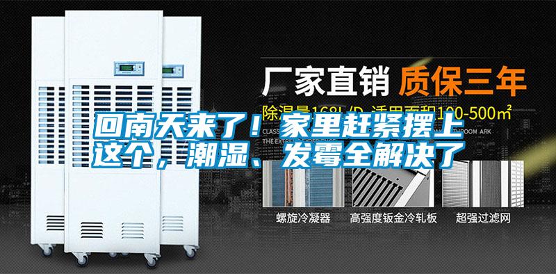 回南天來了！家里趕緊擺上這個，潮濕、發(fā)霉全解決了