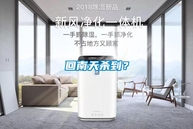回南天殺到？
