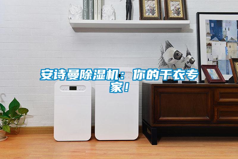 安詩(shī)曼除濕機(jī)：你的干衣專家！