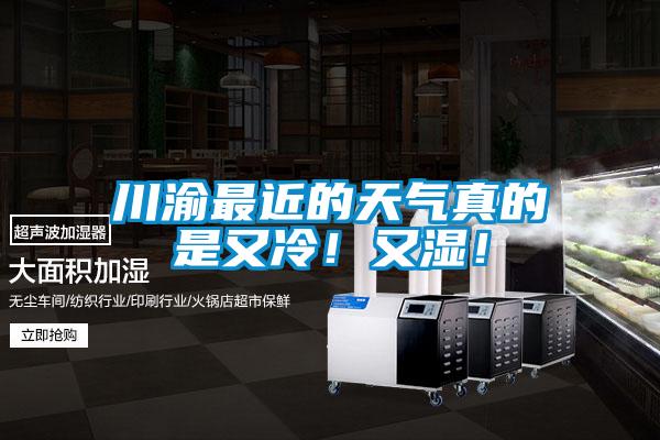川渝最近的天氣真的是又冷！又濕！