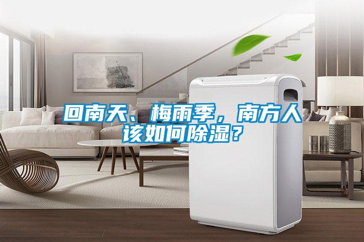 回南天、梅雨季，南方人該如何除濕？