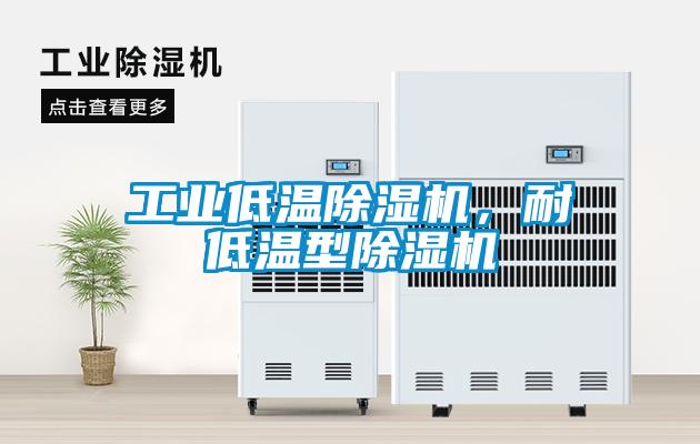工業(yè)低溫除濕機(jī)，耐低溫型除濕機(jī)