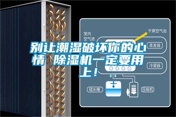 別讓潮濕破壞你的心情 除濕機(jī)一定要用上！