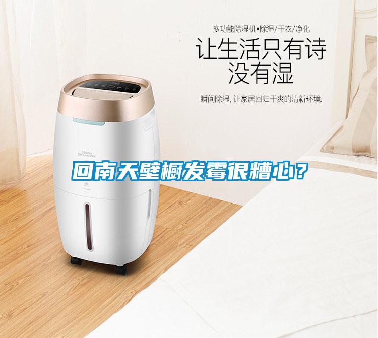 回南天壁櫥發(fā)霉很糟心？