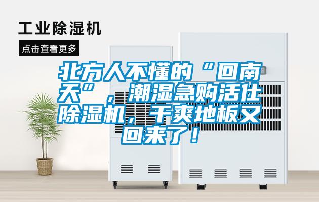 北方人不懂的“回南天”，潮濕急購活仕除濕機，干爽地板又回來了！