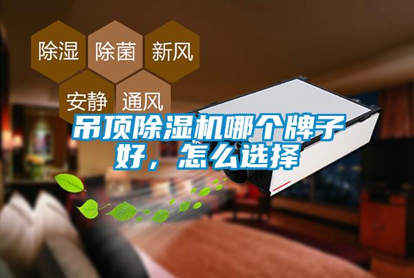 吊頂除濕機哪個牌子好，怎么選擇