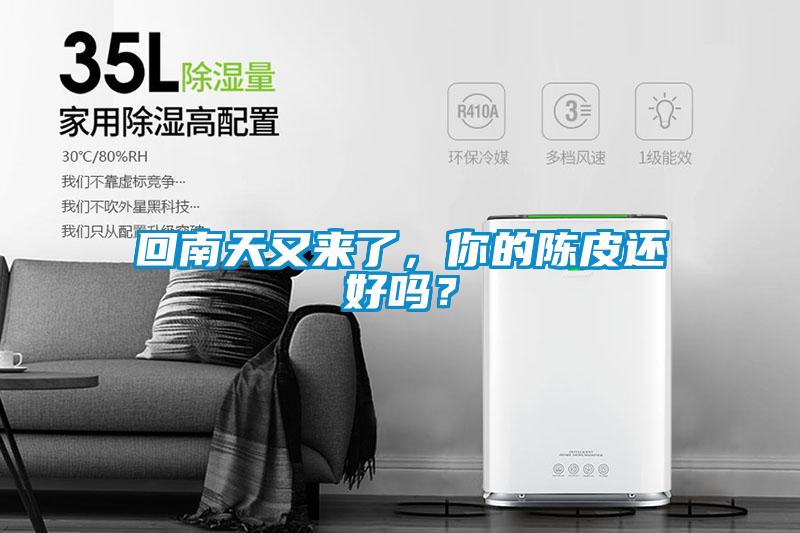 回南天又來(lái)了，你的陳皮還好嗎？