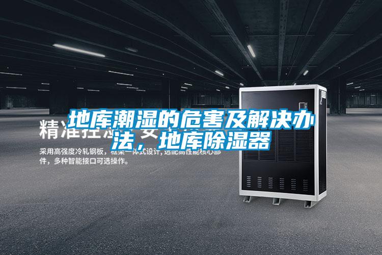 地庫(kù)潮濕的危害及解決辦法，地庫(kù)除濕器