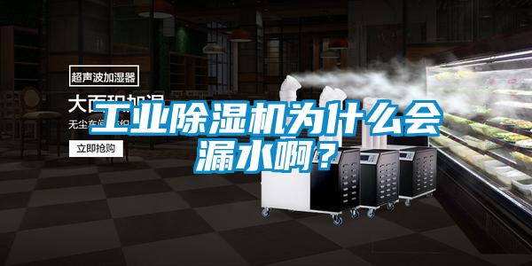 工業(yè)除濕機(jī)為什么會(huì)漏水??？