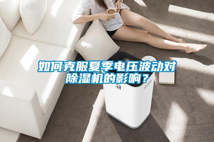 如何克服夏季電壓波動(dòng)對(duì)除濕機(jī)的影響？