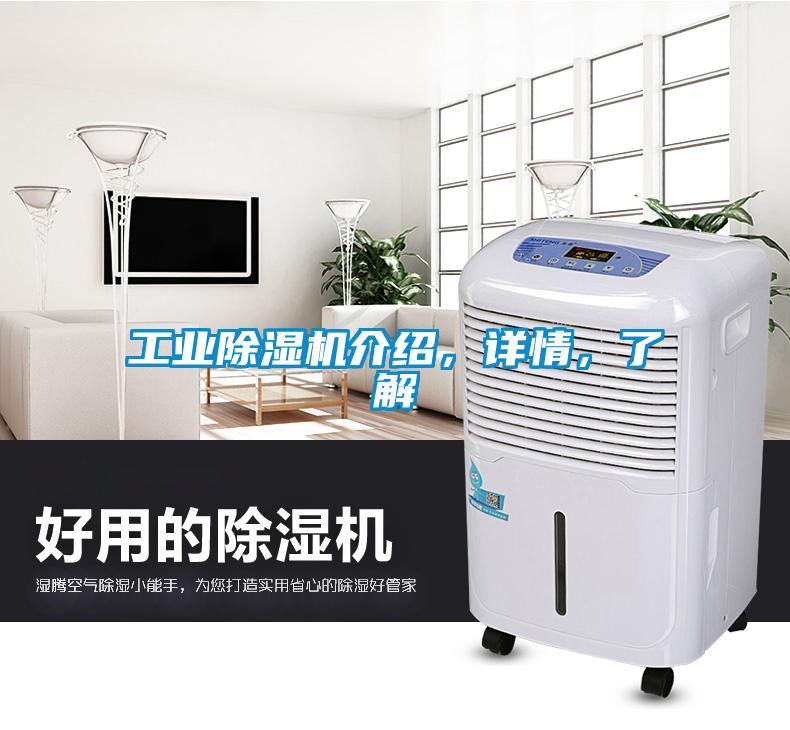 工業(yè)除濕機(jī)介紹，詳情，了解