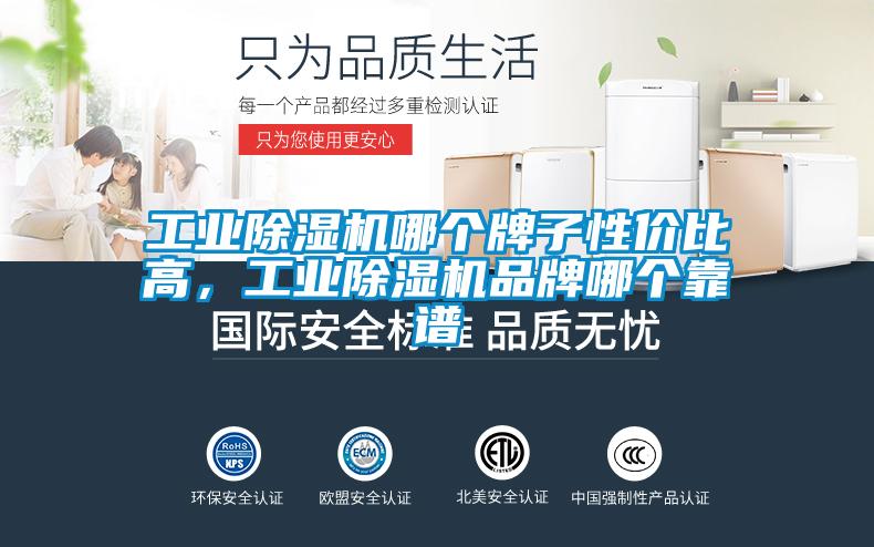 工業(yè)除濕機(jī)哪個(gè)牌子性價(jià)比高，工業(yè)除濕機(jī)品牌哪個(gè)靠譜