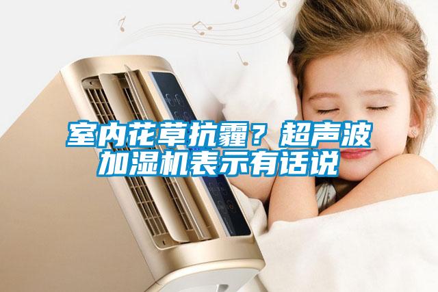 室內(nèi)花草抗霾？超聲波加濕機表示有話說