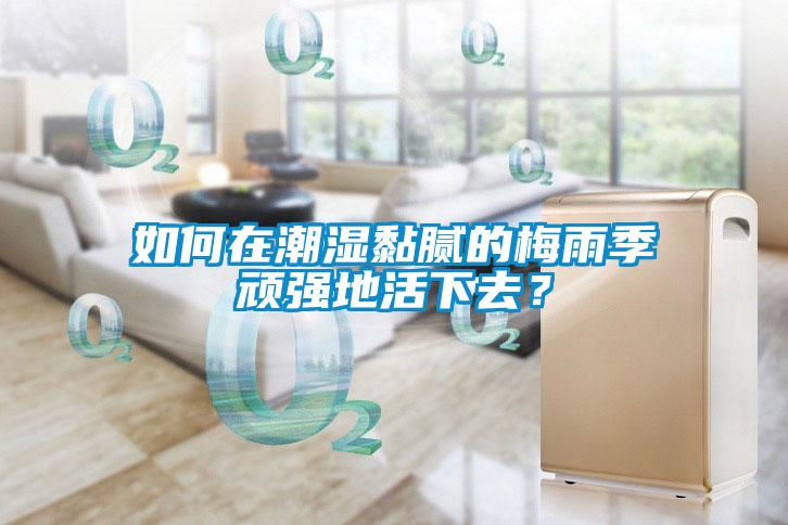 如何在潮濕黏膩的梅雨季頑強(qiáng)地活下去？