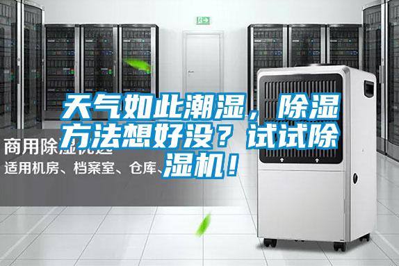 天氣如此潮濕，除濕方法想好沒？試試除濕機！