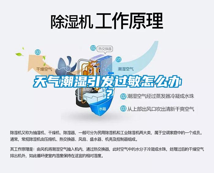 天氣潮濕引發(fā)過敏怎么辦？