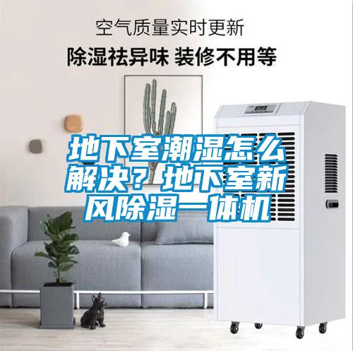 地下室潮濕怎么解決？地下室新風(fēng)除濕一體機