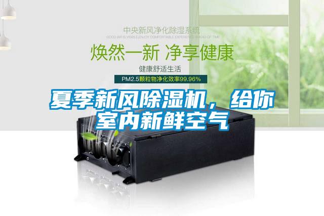 夏季新風(fēng)除濕機(jī)，給你室內(nèi)新鮮空氣