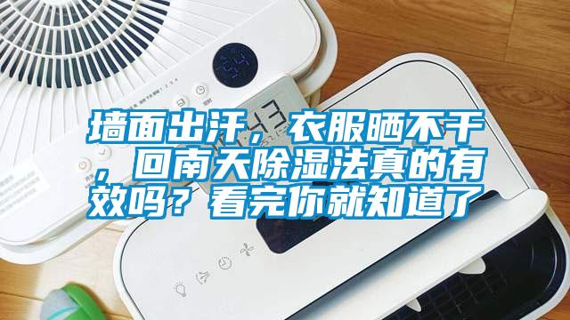 墻面出汗，衣服曬不干，回南天除濕法真的有效嗎？看完你就知道了